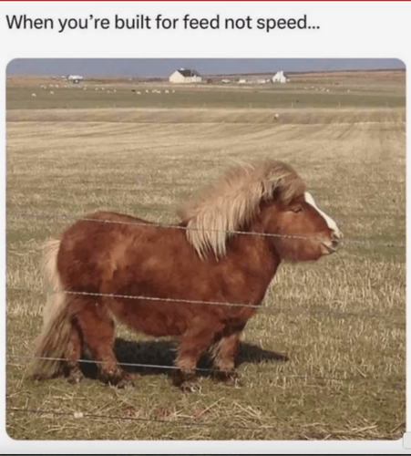 Screenshot 2025 08 22 at 11.37.50 AM.png