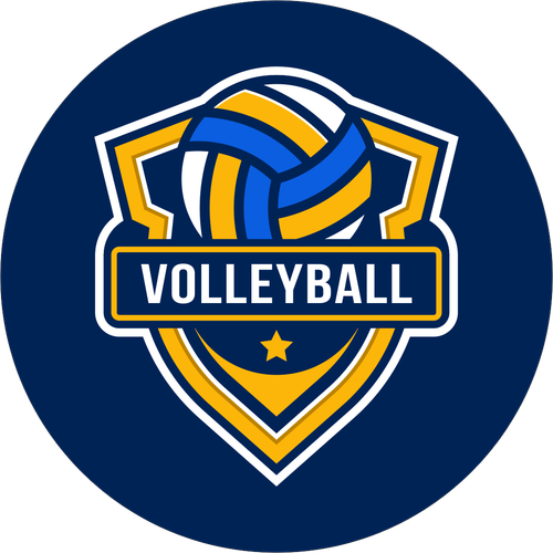 VOLLEY BALL.png