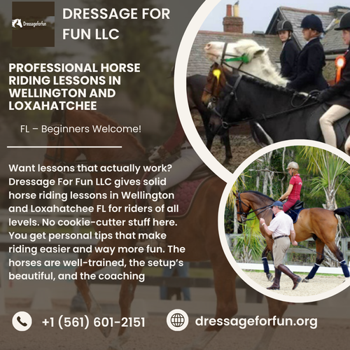 Professional Horse Riding Lessons in Wellington and Loxahatchee, FL – Beginners Welcome!.png