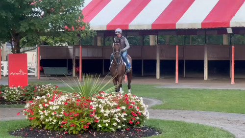 aXl8GWHoczLP KTL.jpg