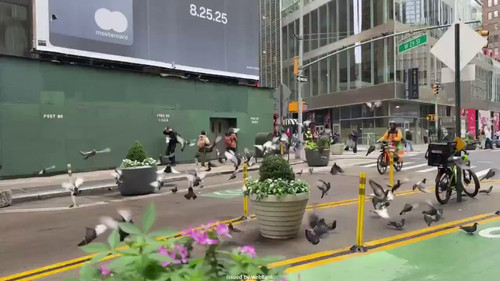 rg4TPgR4dZfNA5 q.jpg