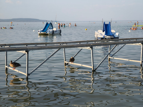 IMG 20250815 180133148 HDR.jpg