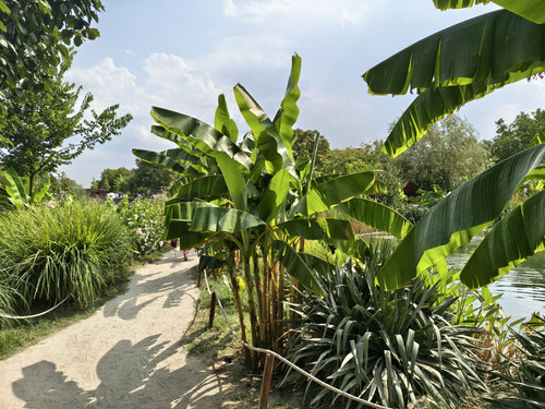 IMG 20250817 150507374 HDR.jpg