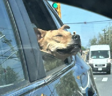 Gux 0J3XsAAPmOB?format=png.png