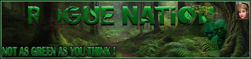 Peeker Banner.jpg