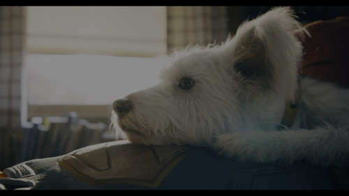 vlcsnap 2025 09 15 19h42m23s805.jpg