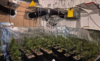 اعتقلت شرطة الاحتلال هذا الصباح مديرة مكتب الوزيرة في حكومة الاحتلال "ماي غولان" ومستشارًا سابقًا لها على خلفية شبهات فساد، خلال تفتيش منزل مديرة مكتب...