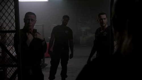 Chicago.P.D.Distrito.21.S09E01.Encerramento.1080p.GLBO.WEB DL.AAC2.0.x264 SiGLA 003.jpg