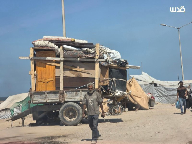 رغم كثافة الغارات والمجازر.. عائلات فلسطينية تعود إلى مدينة غزة بسبب تكدس النازحين في جنوب القطاع بعد مزاعم الاحتلال بوجود مناطق إنسانية....