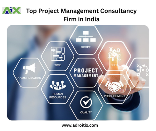 Top Project Management Consultancy Firm in India.png