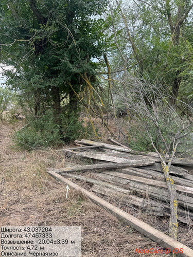 photo 34 2025 09 03 17 45 23.jpg