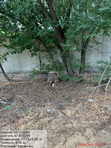 photo 20 2025 09 03 17 45 23.jpg