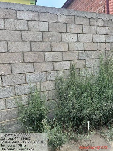 photo 8 2025 09 03 17 45 23.jpg