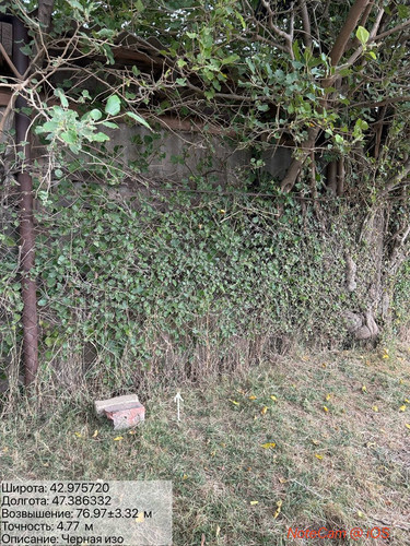 photo 4 2025 09 03 17 59 13.jpg