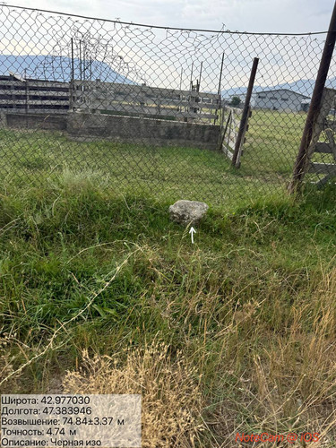 photo 2 2025 09 03 17 59 13.jpg