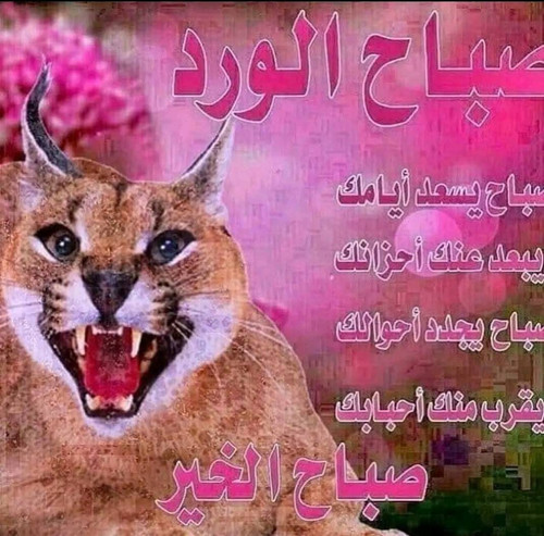 FB IMG 1756903048035.jpg