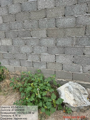 photo 17 2025 09 03 17 59 13.jpg