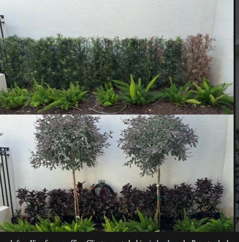 Landscape Design Wellington.png