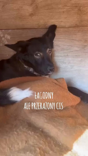 s1qTcReJ2KP83uev.jpg