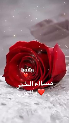  3MhDjq7BFj0CILa.jpg