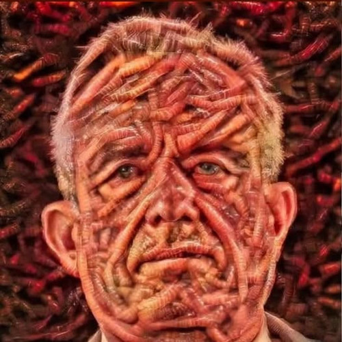 539196105 1096544602633094 343605645656278729 n.jpg