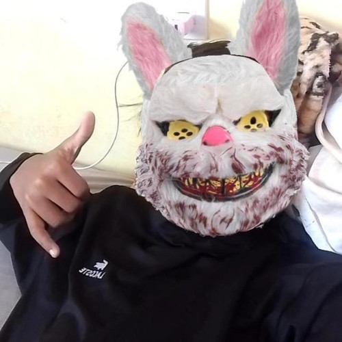 858184.jpg
