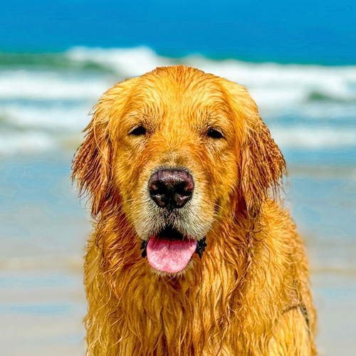 471460091 916673573931243 6918253928433799182 n.jpg