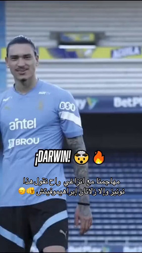  7UMViJeVri1ppeI.1