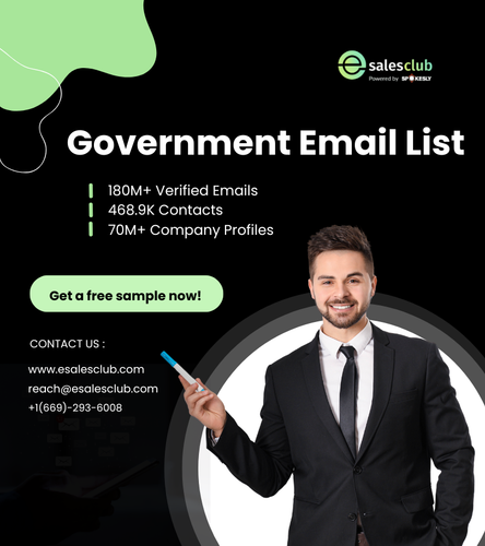 Government (1).png