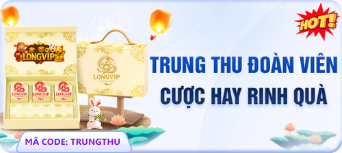banner2.jpg