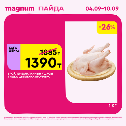 Magnum 1620x1620 1 tov 2025 09 03T092212.270.png