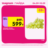 Magnum 1620x1620 1 tov 2025 09 03T092213.999