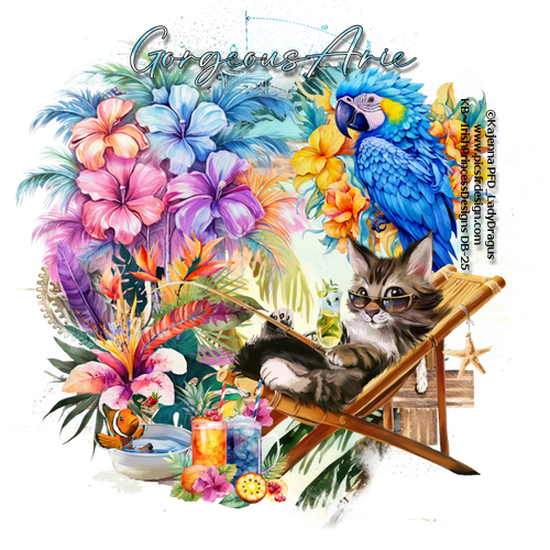 IPD Cat Gorgeous Arie.png