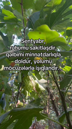 XHyf8yEglyeqIXoo.jpg