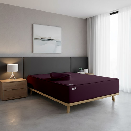 Plum (5).jpg
