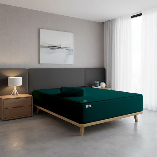 Teal (5).jpg