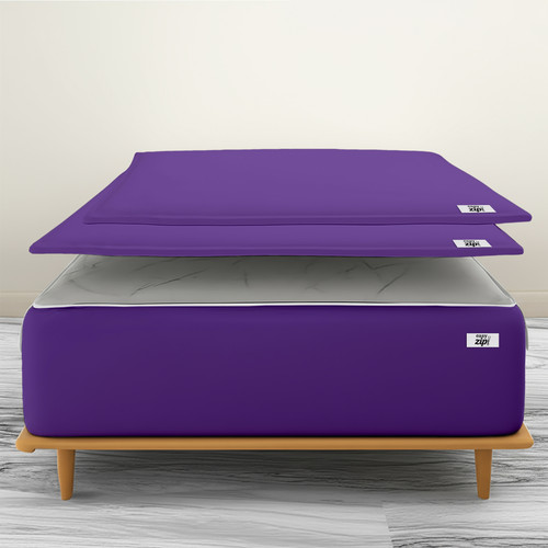 Purple (8).jpg