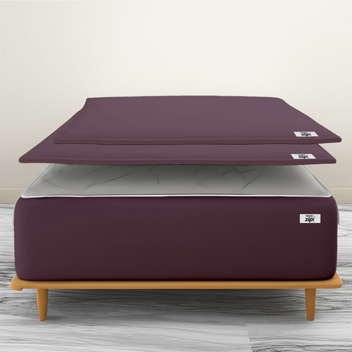 Plum (8).jpg