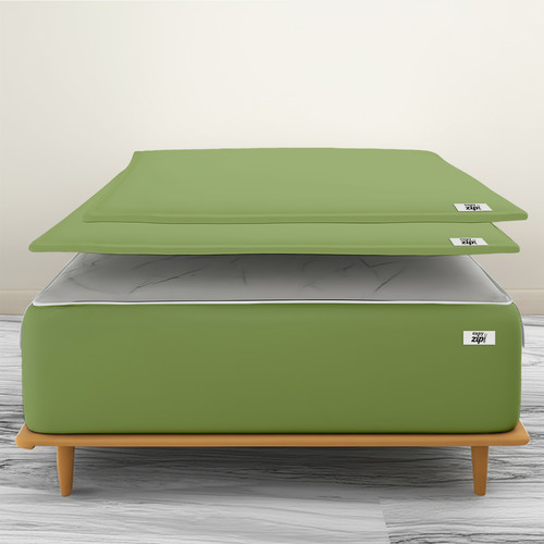 Olive (8).jpg