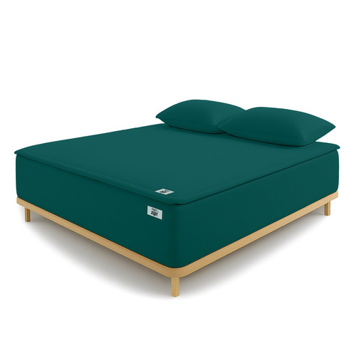 Teal (7).jpg