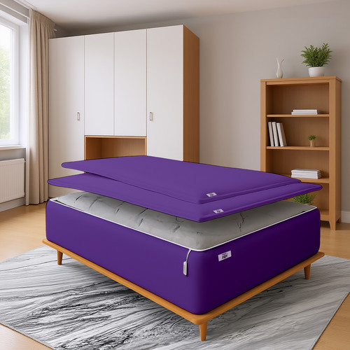 Purple (12).jpg