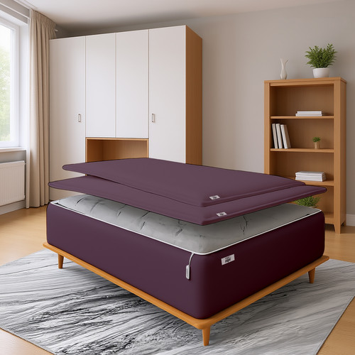 Plum (12).jpg
