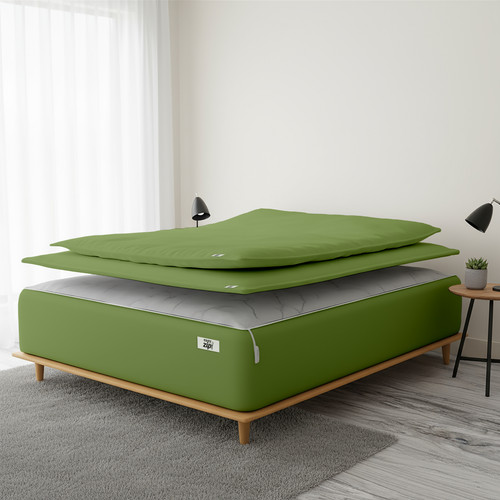 Olive (6).jpg
