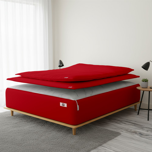 Red (6).jpg