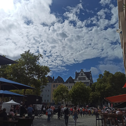 IMG 20250831 145207.jpg