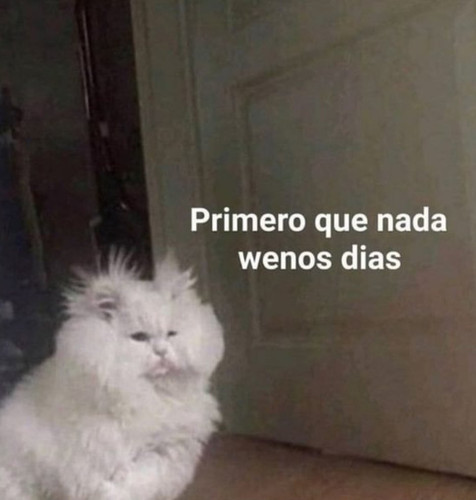 GzxVgitXQAEfUFj.jpg