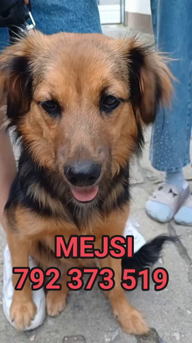 Q2gmI2bfpLz8Qruc.jpg