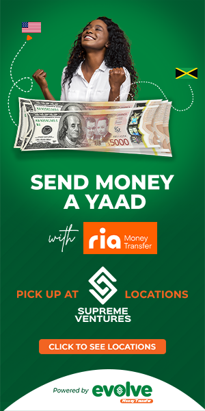 Evolve Money Transfer Ria Fan 300x600.png