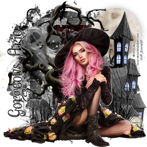 Gorgeous Arie 2025 Darkness VM.png