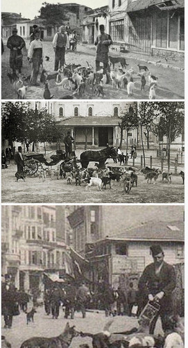 GzpuAt WwAASI93.jpg